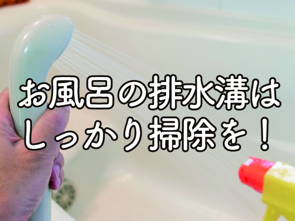 お風呂の排水溝をしっかり掃除を