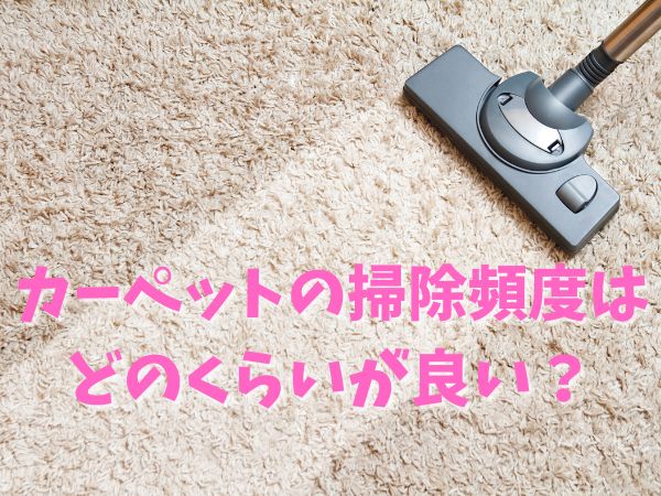 カーペットの掃除 頻度