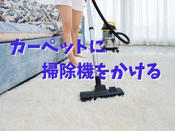 カーペット 掃除機
