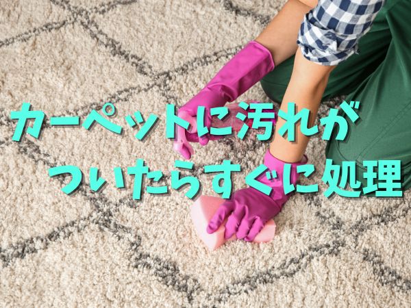 カーペット 汚れ 処理