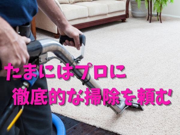 プロ 掃除 依頼