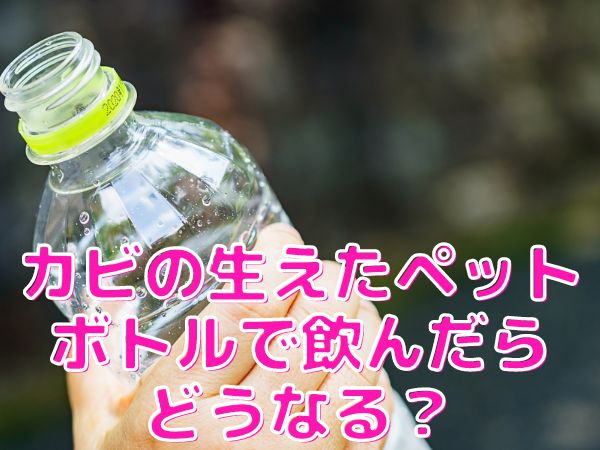 カビ ペットボトル 飲む　どうなる