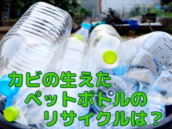 カビペットボトル リサイクル
