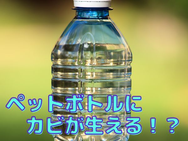 ペットボトル カビ