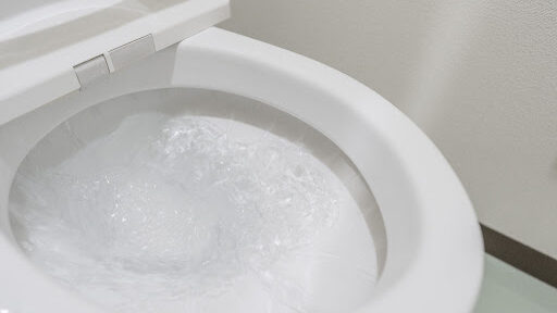 トイレの水が流れているところ