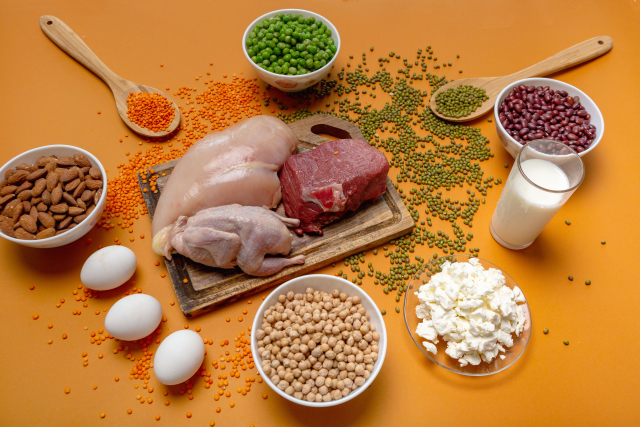 タンパク質の多い食材