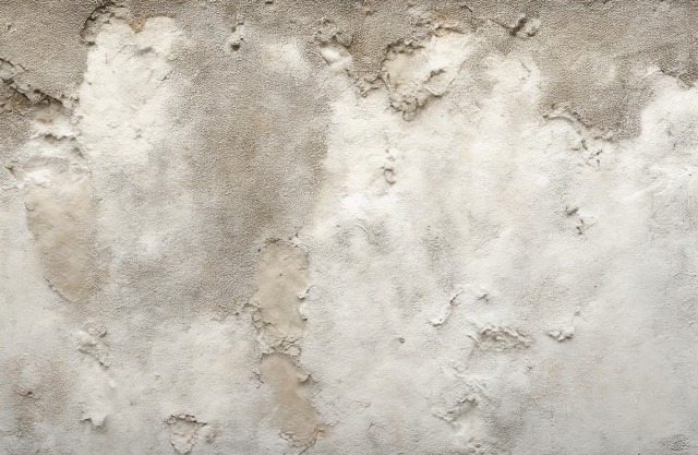 プラスター壁　壁　左官工事　単価　