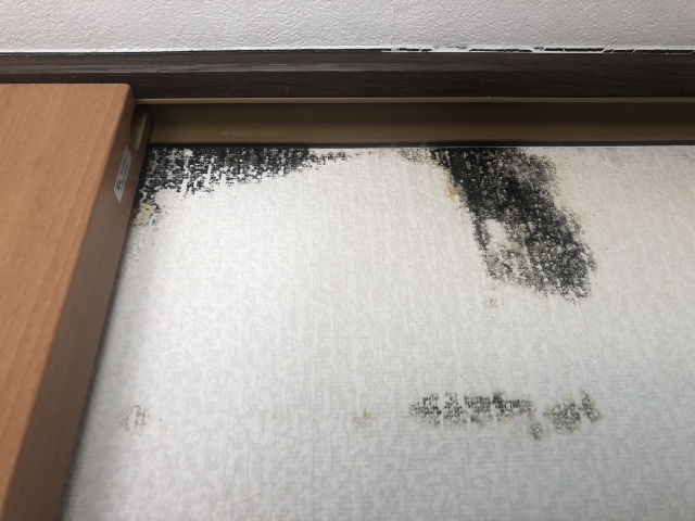 壁紙にカビが発生する原因