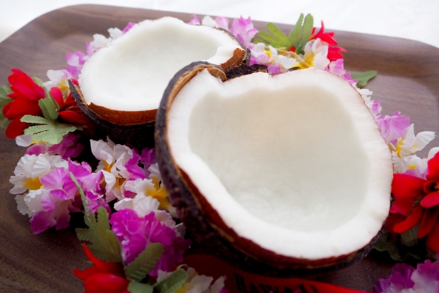 ココナッツ,チチ