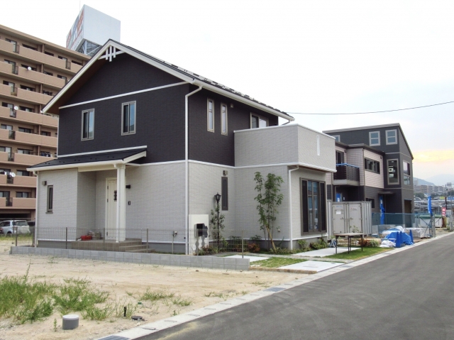 セパレーションカラー,説明