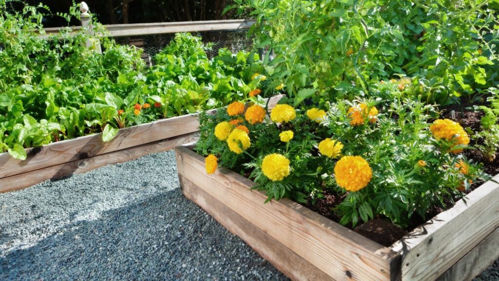 【工事別】予算10万円で実施できる庭リフォームの費用相場 花壇