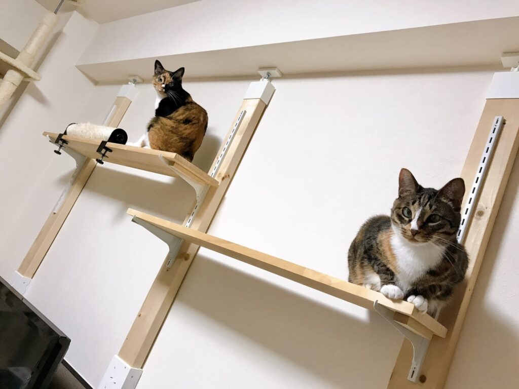 猫のためのリフォームにかかる費用は? キャットウォーク