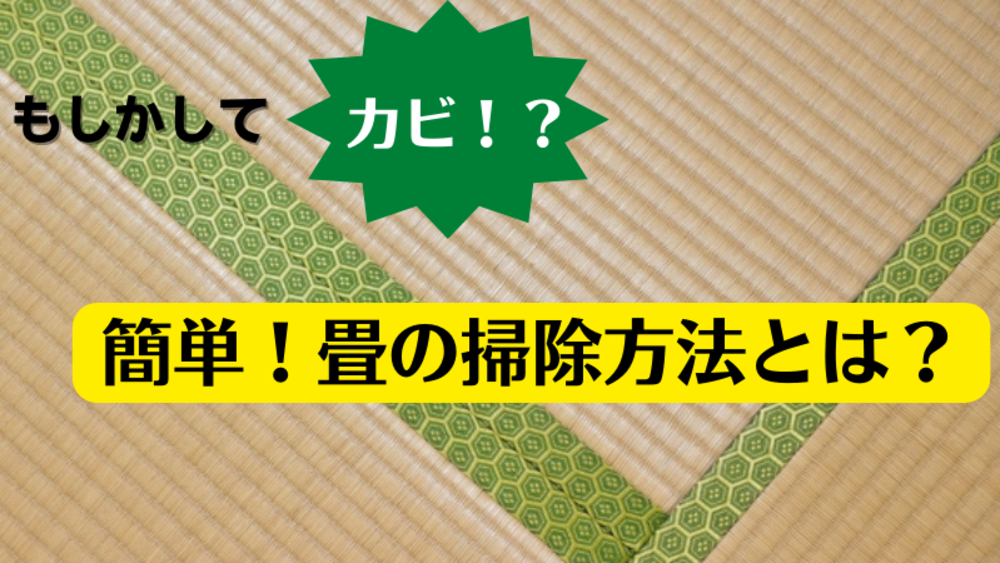 プロ監修 畳のカビ掃除はたったの6ステップ 使う道具は家にあるものだけ ゼヒトモ